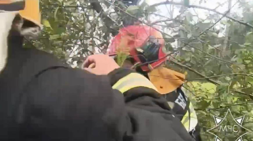 Скриншот видео МЧС