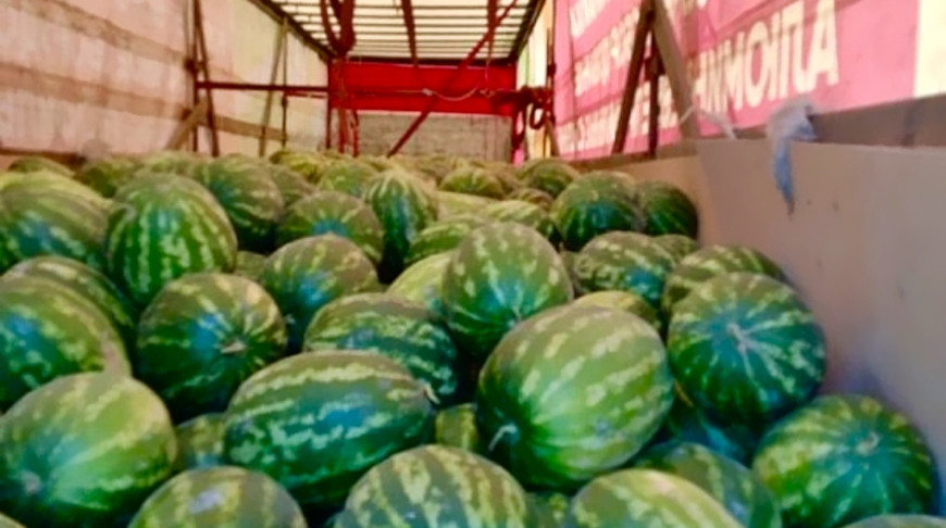 Фото соцсетей