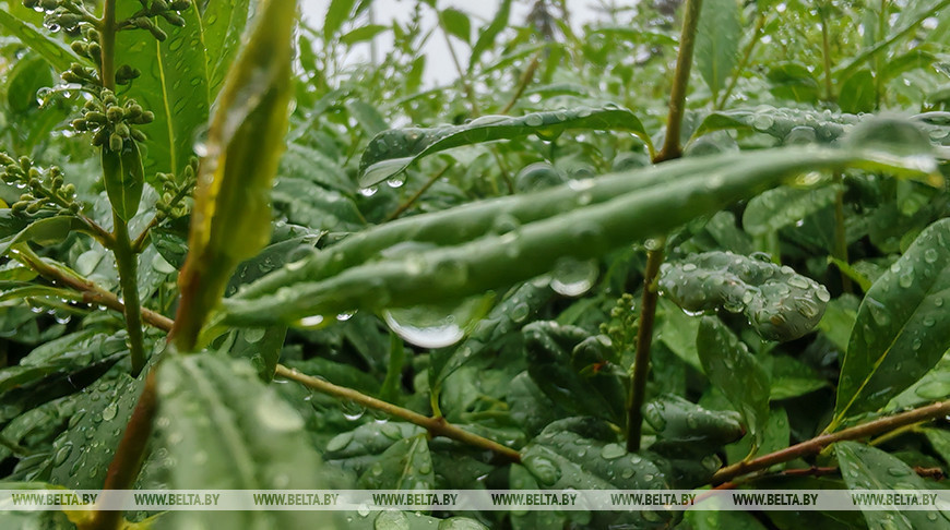 Фото из архива