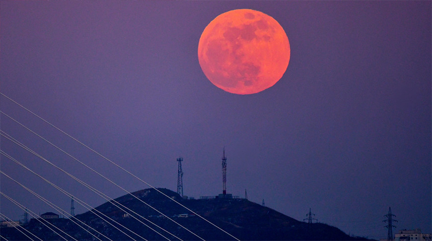 Фото из архива ТАСС