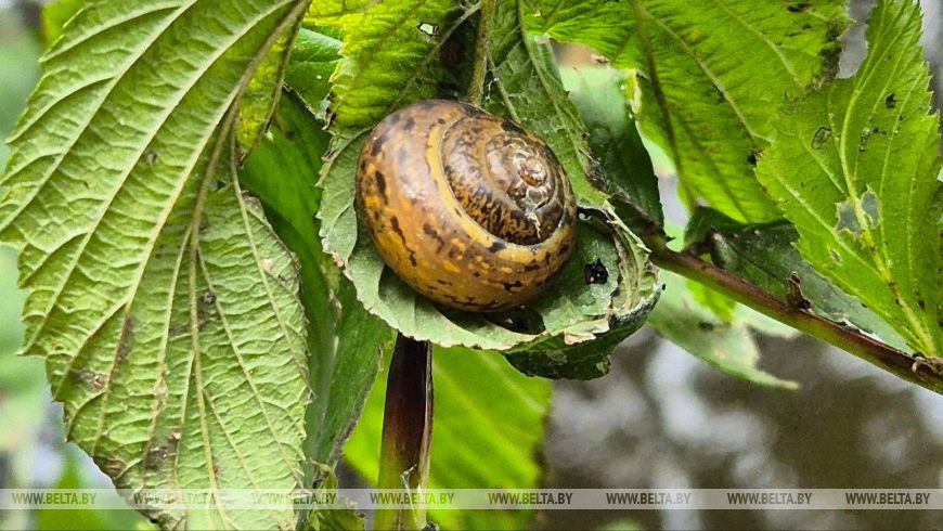 Фото из архива