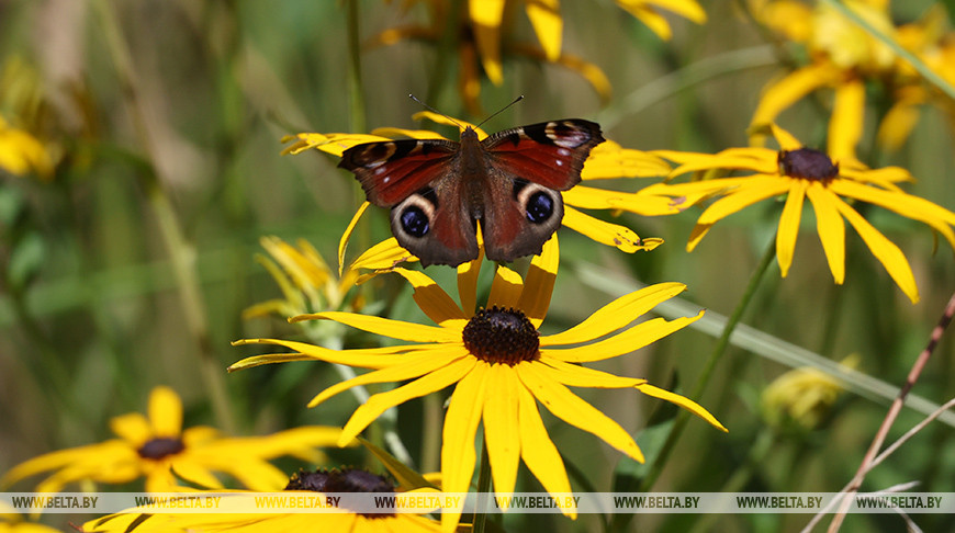 Фото из архива