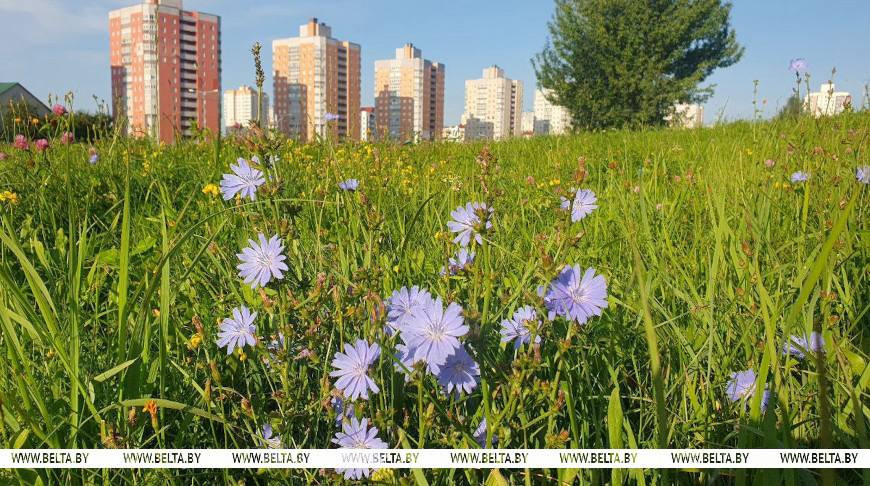 Фото из архива