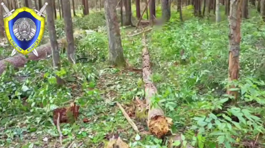 Скриншот видео СК