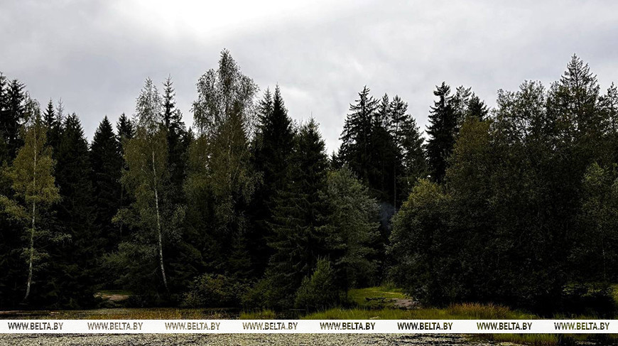 Фото из архива