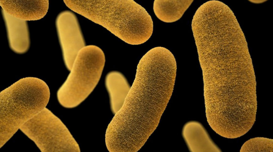 Фото public domain 
