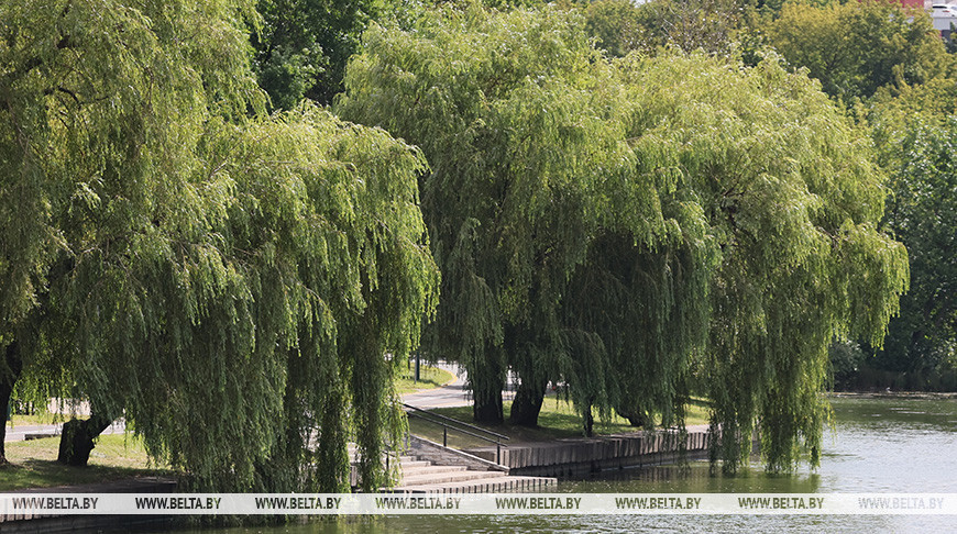 Фото из архива