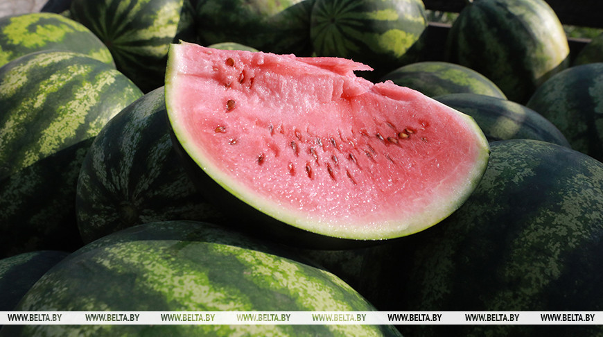 Фото из архива
