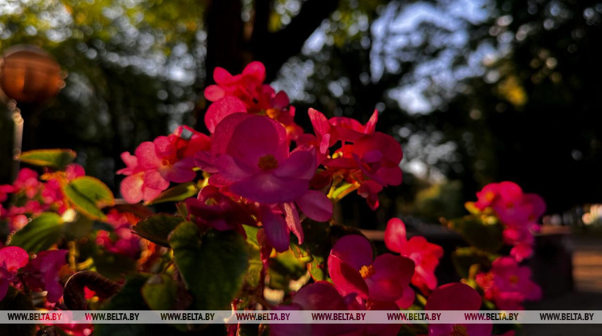 Фото из архива