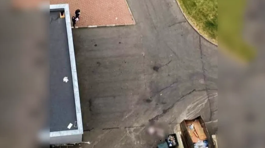 Скриншот видео соцсети