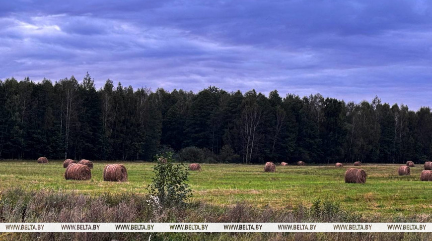 Фото из архива