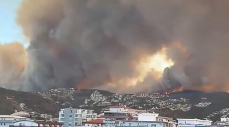 Скриншот видео из социальных сетей