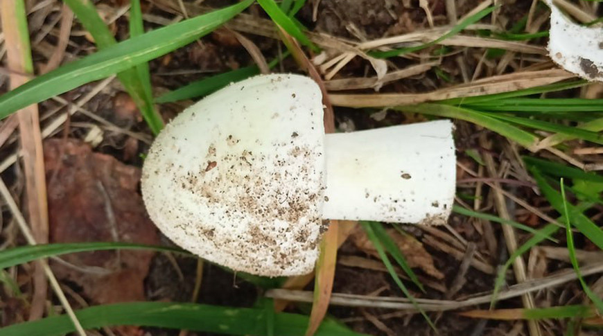 Фото Государственного комитета судебных экспертиз
