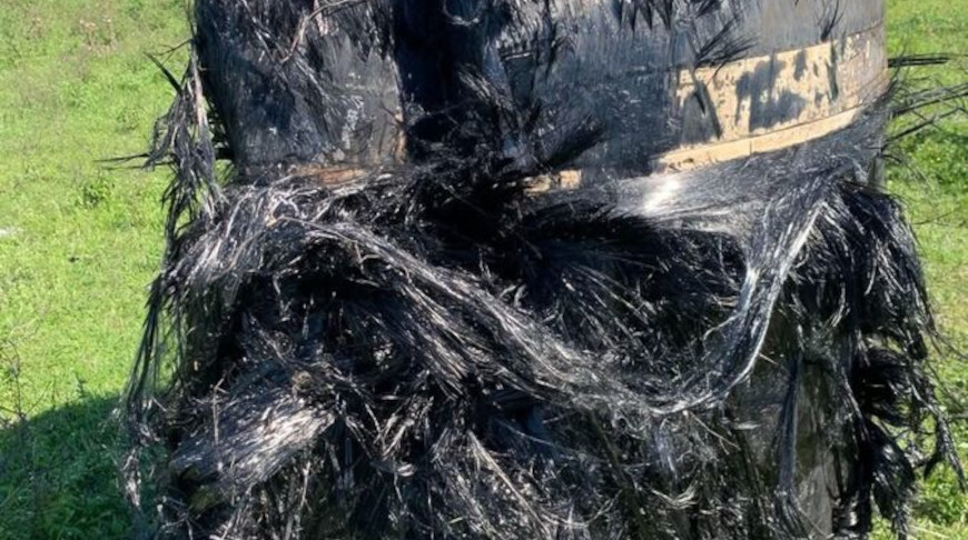 Фото соцсетей