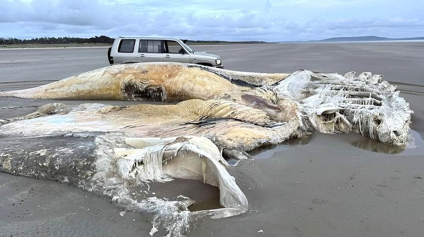 Фото соцсетей