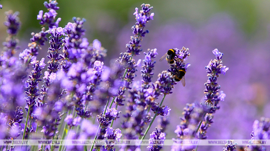 Фото из архива