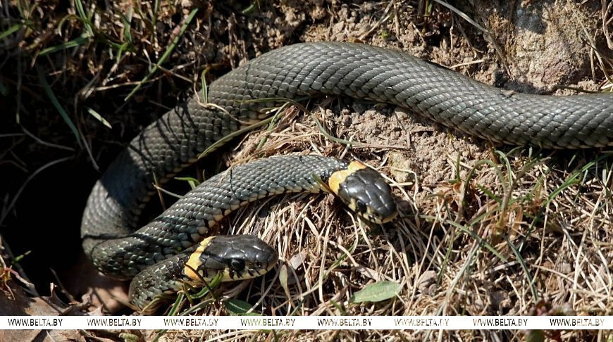 Фото из архива