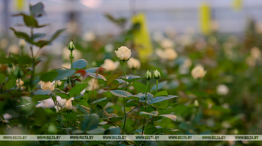 Фото из архива