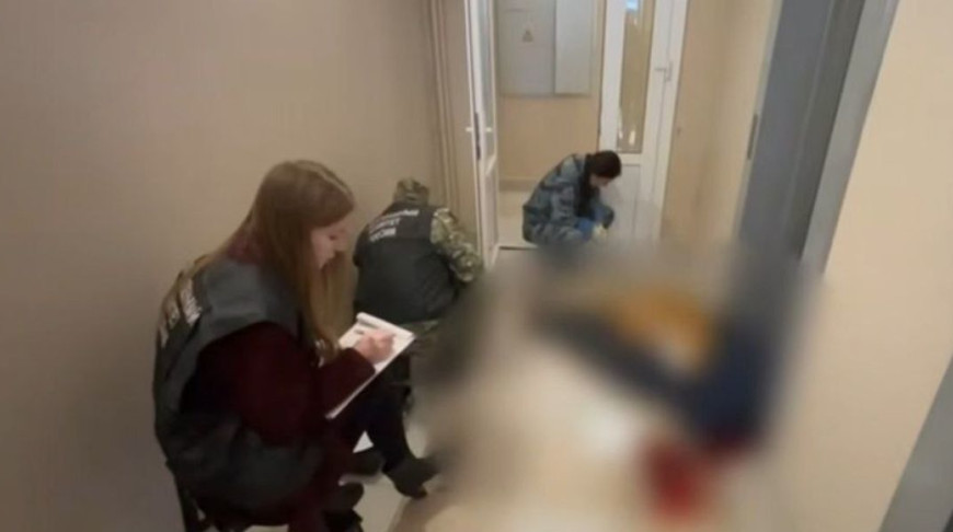 Фото телеграм-канала "Питерский Следком"
