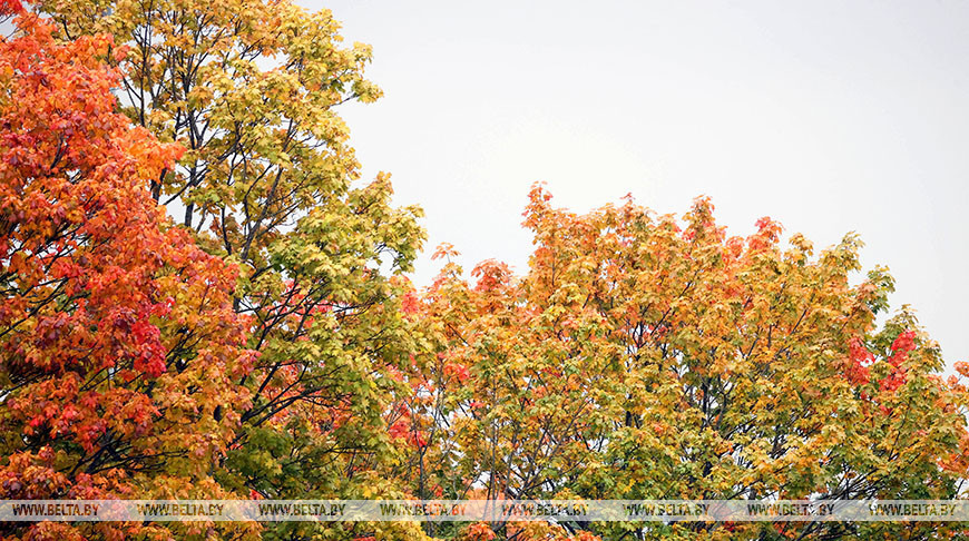 Фото из архива