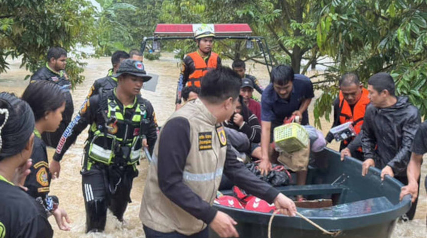 Фото соцсетей