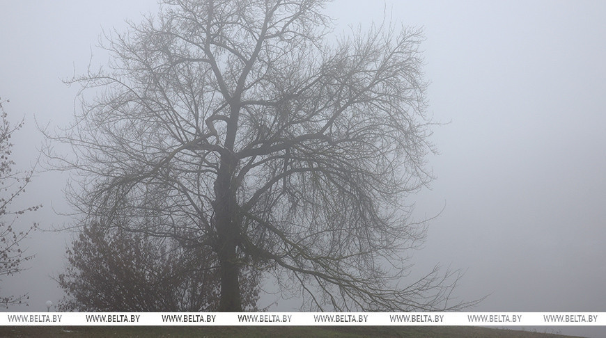 Фото из архива