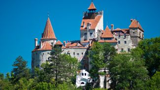 Фото globallookpress.com