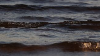 Фото из архива