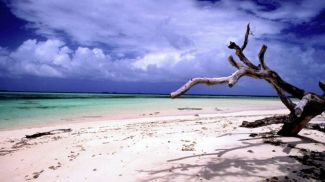 Фото Stefan Lins