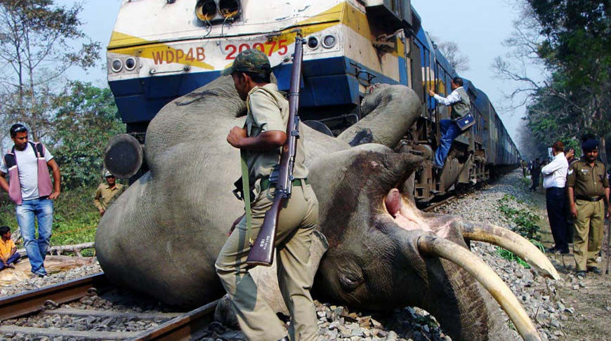 Фото соцсетей