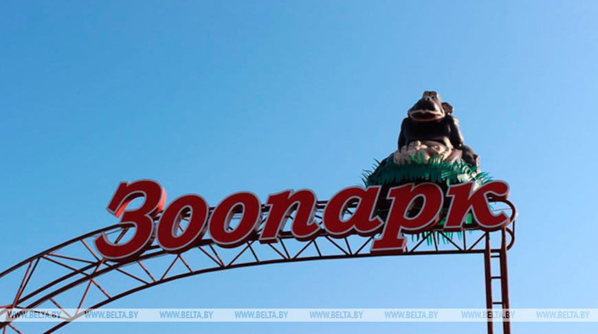 Фото из архива