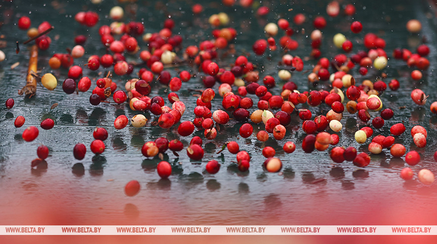 Фото из архива