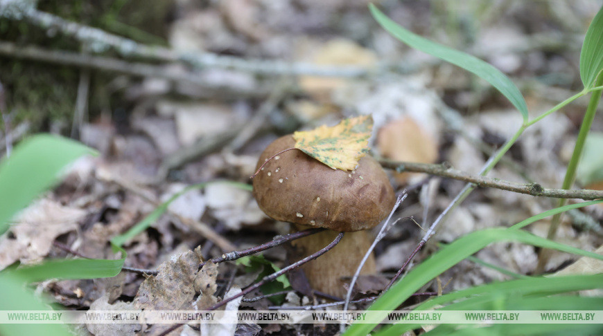 Фото из архива