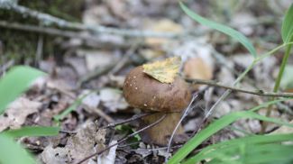 Фото из архива