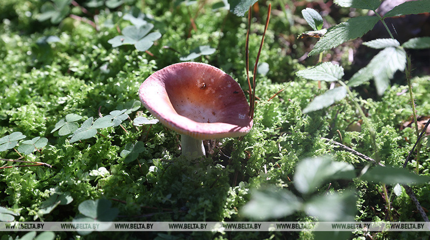 Фото из архива