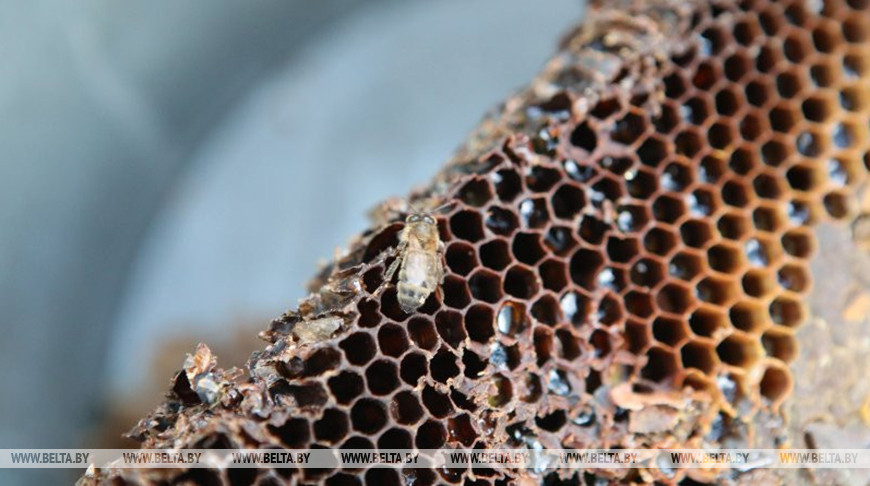 Фото из архива