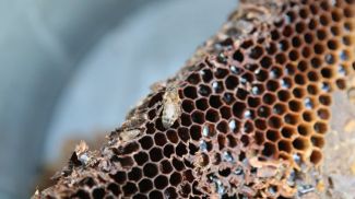 Фото из архива