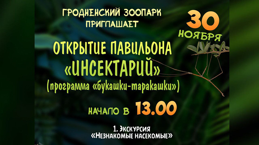 Фото организатора