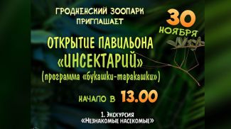 Фото организатора