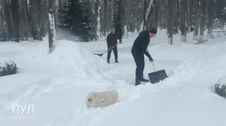 Скриншот видео