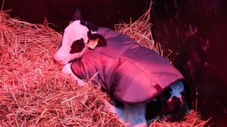 Фото из архива