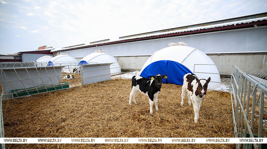 Фото из архива