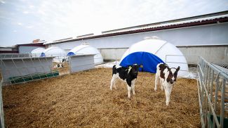 Фото из архива