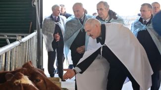 Александр Лукашенко во время посещения молочно-товарного комплекса "Устенский" в Оршанском районе, октябрь 2021 года