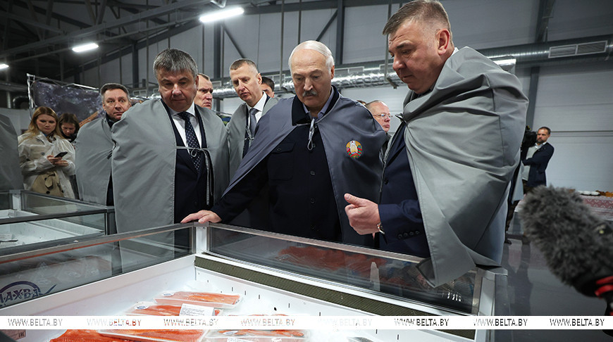 Александр Лукашенко во время посещения рыбхоза "Палуж"