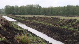 Фото из архива