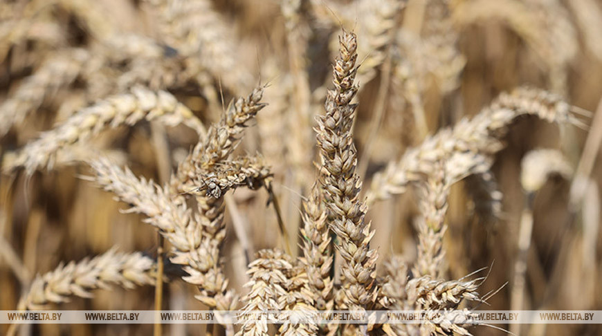 Фото из архива