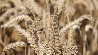 Фото из архива