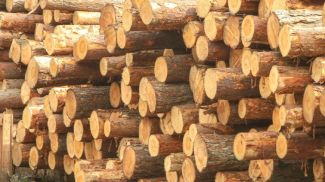 Фото из архива