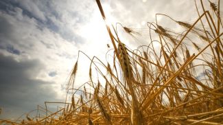 Фото из архива